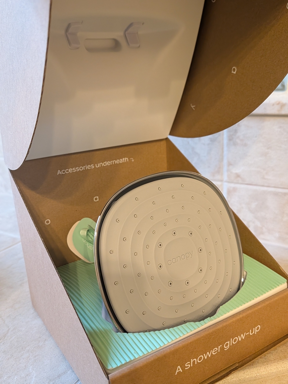 Canopy Filtered Shower Head